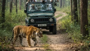 Kumbhalgarh Wildlife Sanctuary Declared Eco-Sensitive Zone