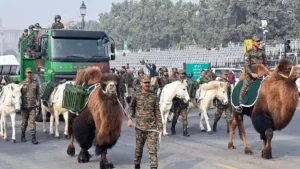 What Makes the Bactrian Camels’ Republic Day Appearance Historic?