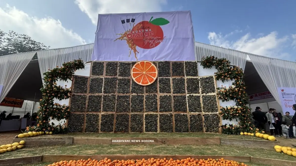 Why Is a Small Nagaland Village Celebrating Oranges?