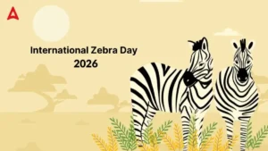 What Is The Real Story Behind International Zebra Day?