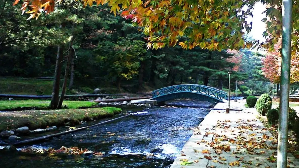 Which Valley is known as the Golden Crown of Kashmir?