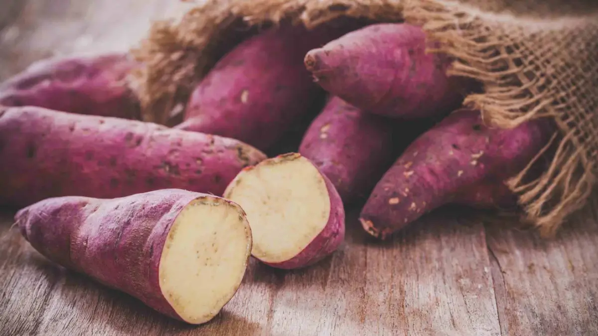Which Country has the Largest Sweet Potato Producing Country in the World?