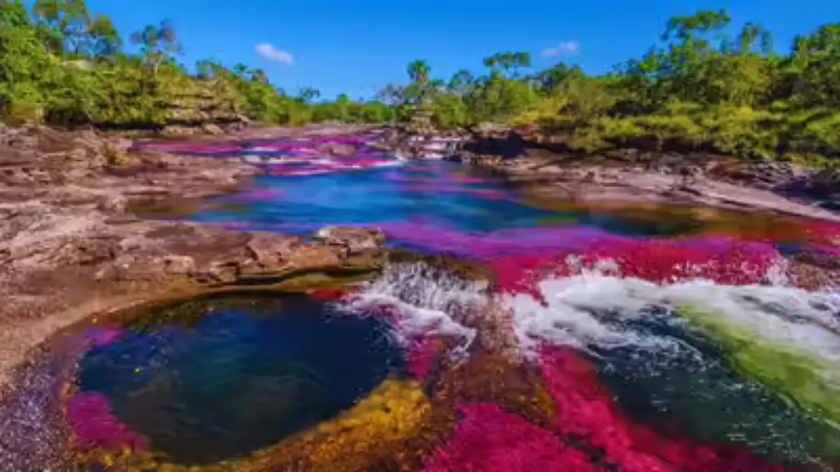 Which River is known as the River of Five Colours?