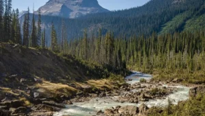 Do You Know Which is the Largest National Park in the World?