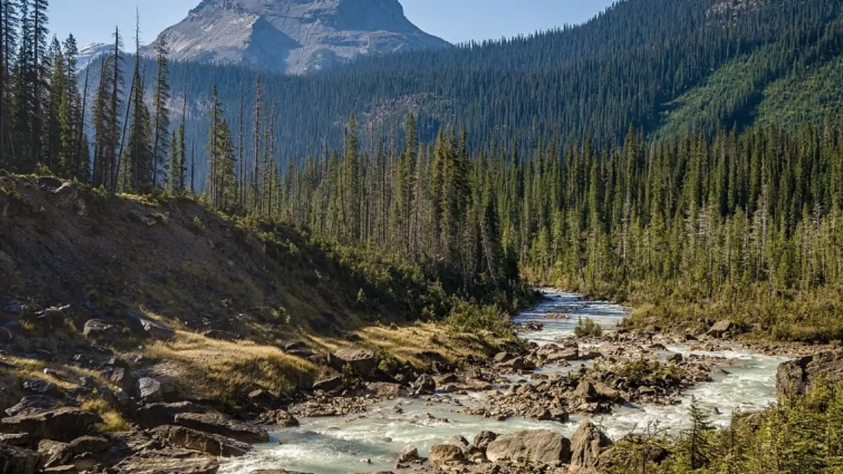 Do You Know Which is the Largest National Park in the World?