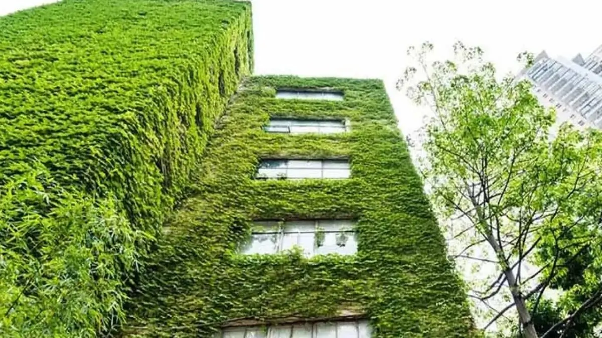 Green Real Estate Skyrockets: India Tops Global Charts in LEED Certifications