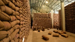 World’s Largest Grain Storage Plan in Cooperative Sector (WLGSP)