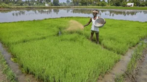 India’s Agri Exports to US Set to Rise as 75% Items Get Zero Tariff: SBI Report