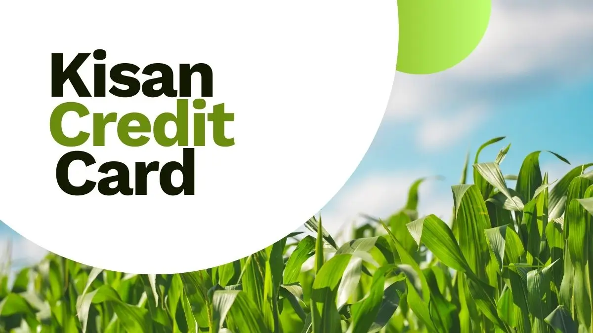 RBI Revises Kisan Credit Card Norms to Cover Agri-Tech & Higher Loan Support