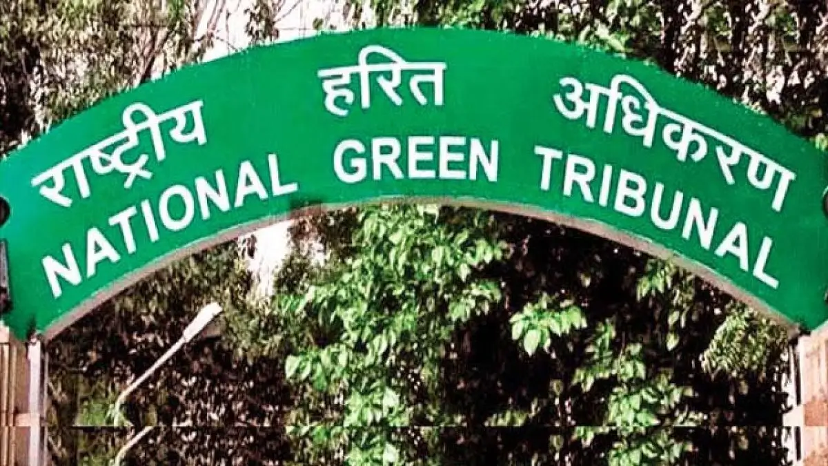 NGT Gives Nod to ₹81,000 Crore Great Nicobar Project-With Strict Green Rules!