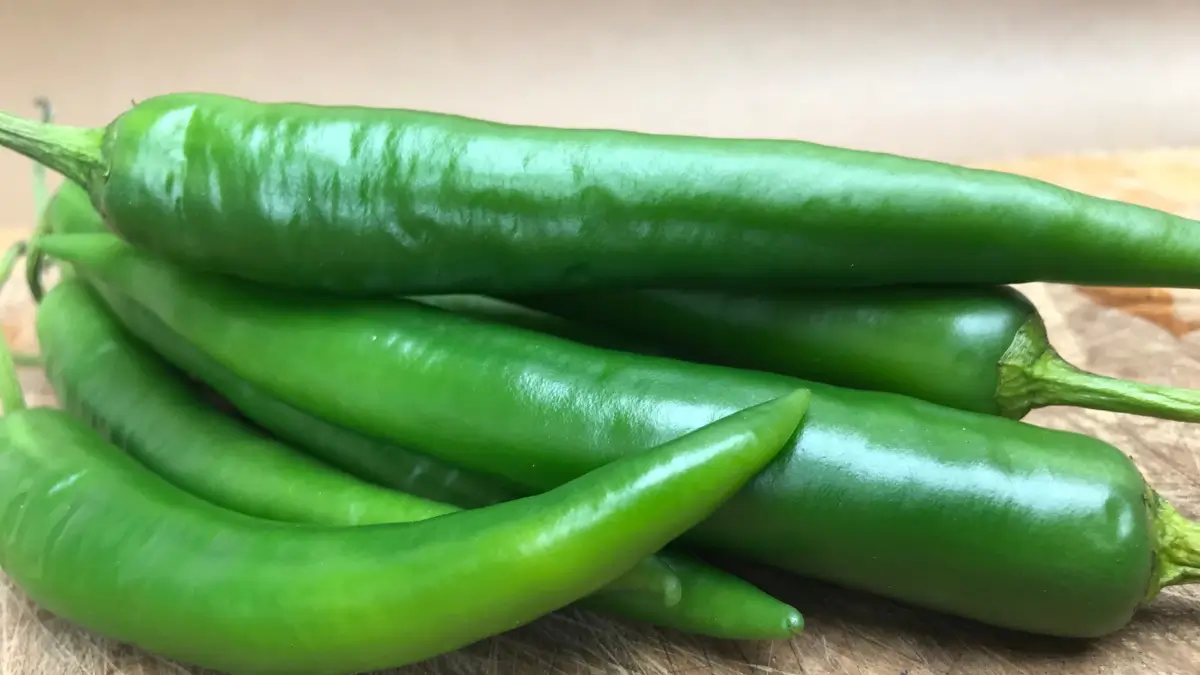 Which Country is the Largest Green Chilli Producer in the World?