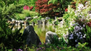 Which Country is known as the Land of Morning Calm?