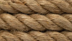 Which Indian City is known as the Jute Capital of the World?