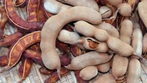Which Country is the Largest Producer of Tamarind in the World?