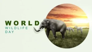 World Wildlife Day 2026: Why Medicinal Plants Are at the Heart of Global Conservation