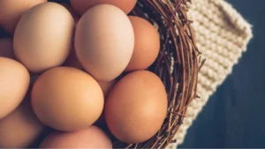Which Country is the Largest Producer of Eggs in the World?