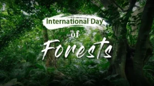 International Day of Forests 2026: Theme, Importance and Global Significance