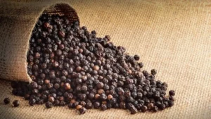 Which is the Largest Black Pepper Producing Country of the World?