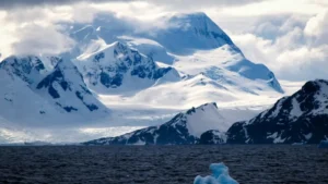 Which is the Only Continent with No Trees?