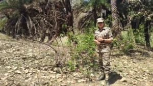 Who is Anita Chaudhary? Conservation work, anti-poaching efforts and WWF award explained