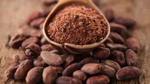 India Targets Cocoa Production Boost with Long-Term Strategy for Self-Reliance by 2040