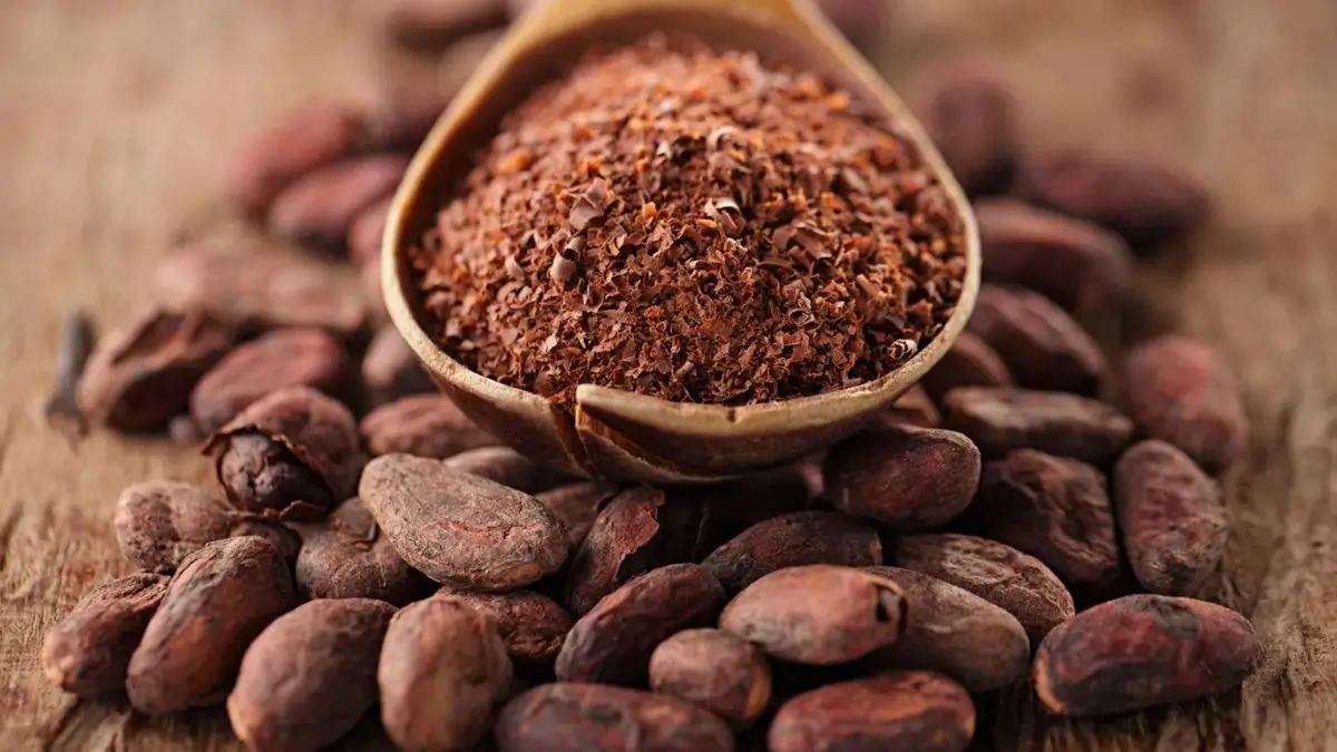 India Targets Cocoa Production Boost with Long-Term Strategy for Self-Reliance by 2040