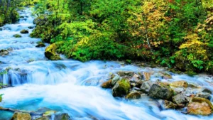 Which River is known as the Lifeline of Europe?