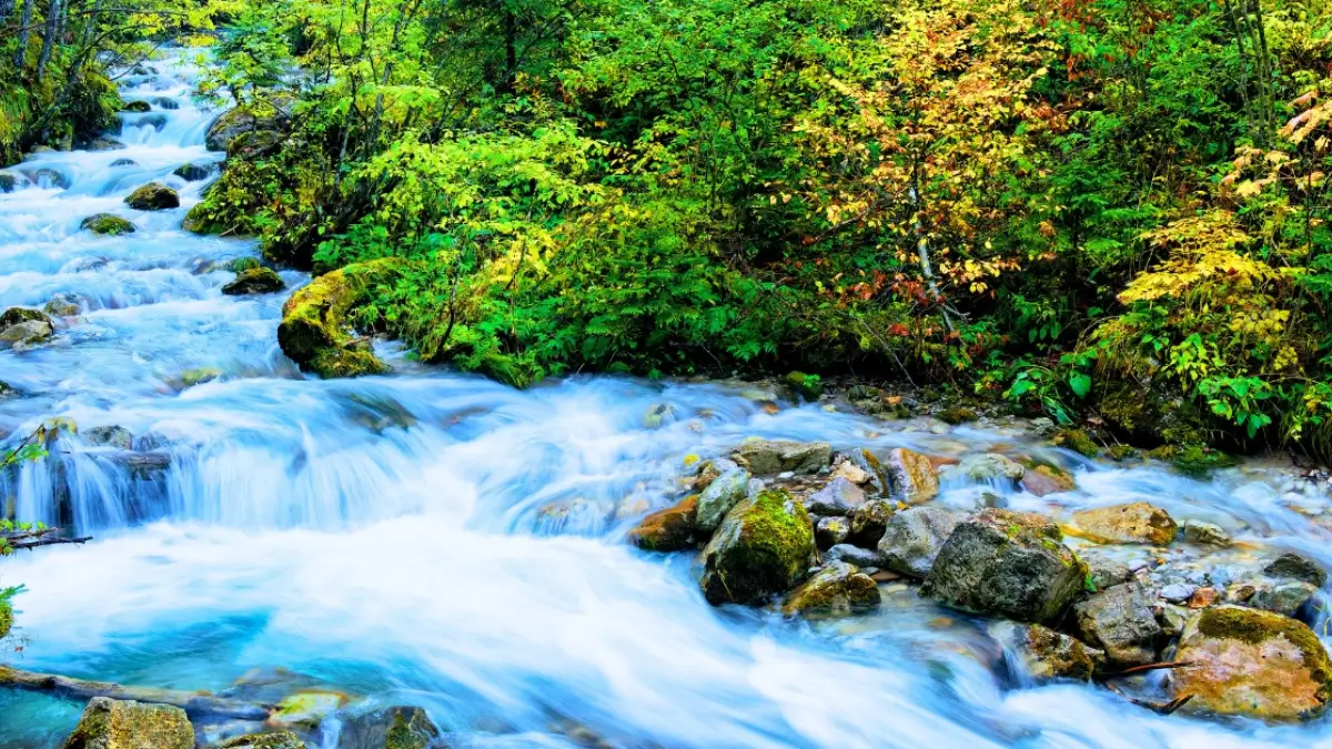 Which River is known as the Lifeline of Europe?