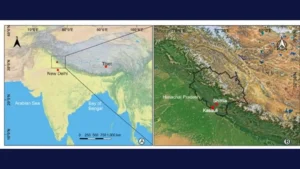 Jamun Origin Traced to India, New Study Challenges Australia and Southeast Asia Theory