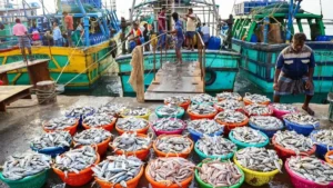 India’s Seafood Exports Hit Record ₹72,325 Crore in FY 2025-26: Marine Products Export Development Authority Data