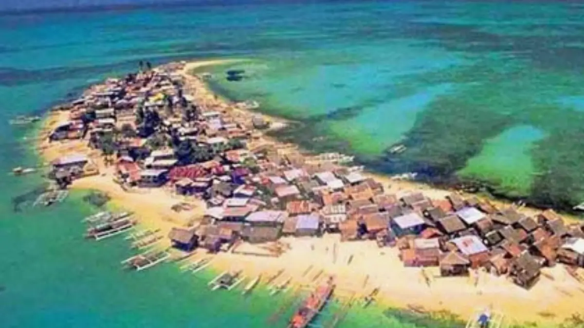 Which River is known for Forming the Largest River Island in the World?