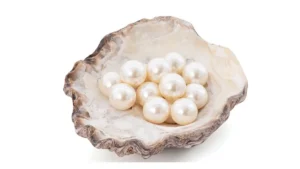 Hazaribag Set to Become India's First Pearl Farming Cluster