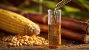 India's Clean Energy Push Gets a Boost as Maize Leads Ethanol Production