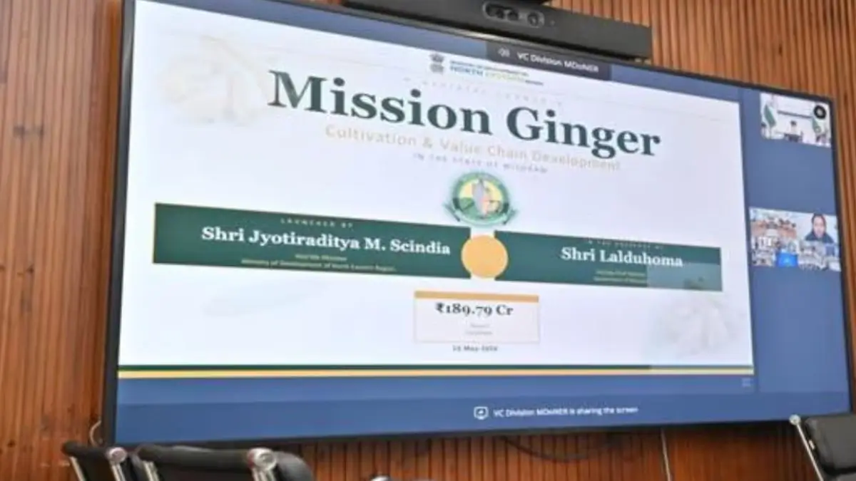 Centre Launches ₹189.79 Crore Mizoram Ginger Mission to Boost Exports