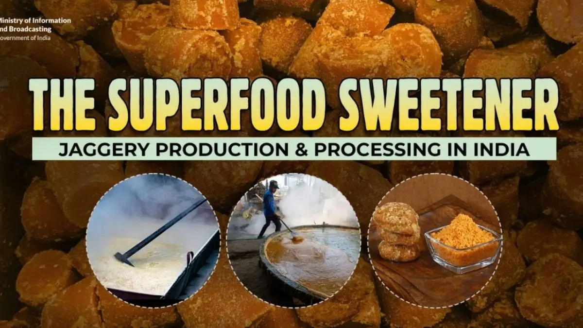 Why Indian Gur Is Becoming a Global Alternative to Refined Sugar