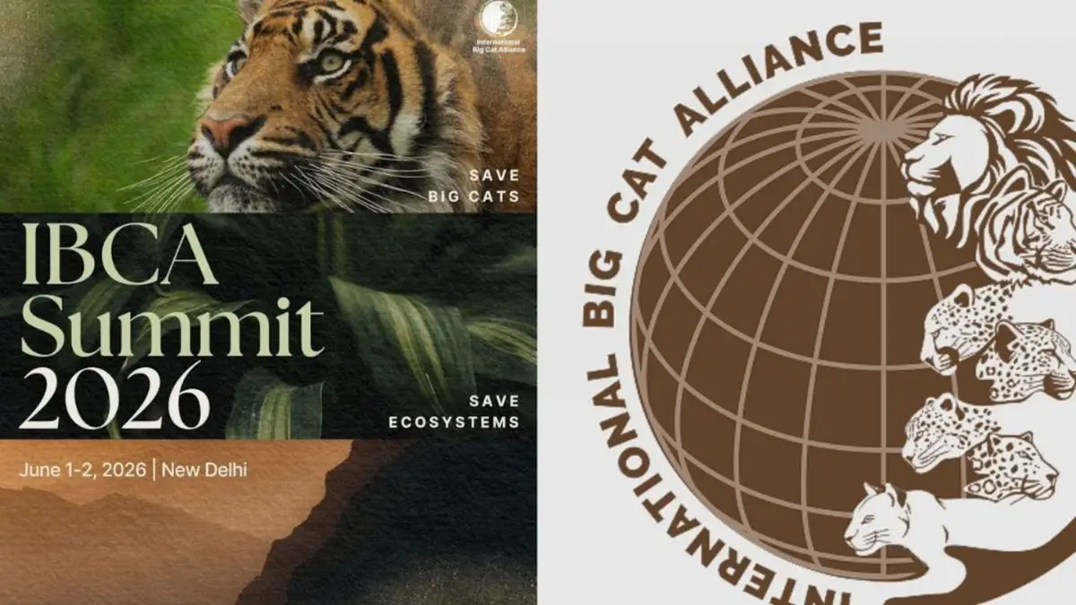 India Delays First Big Cat Alliance Summit, Impacting Wildlife Diplomacy and African Partnerships