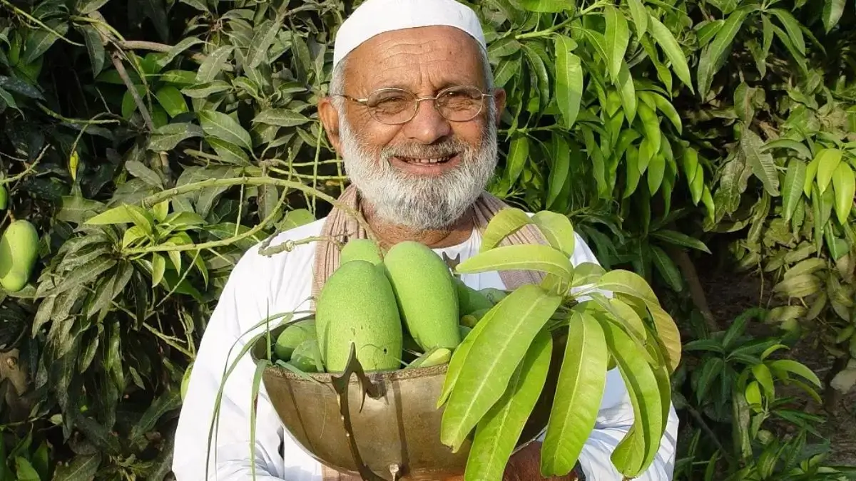 Who is the Mango Man of India?