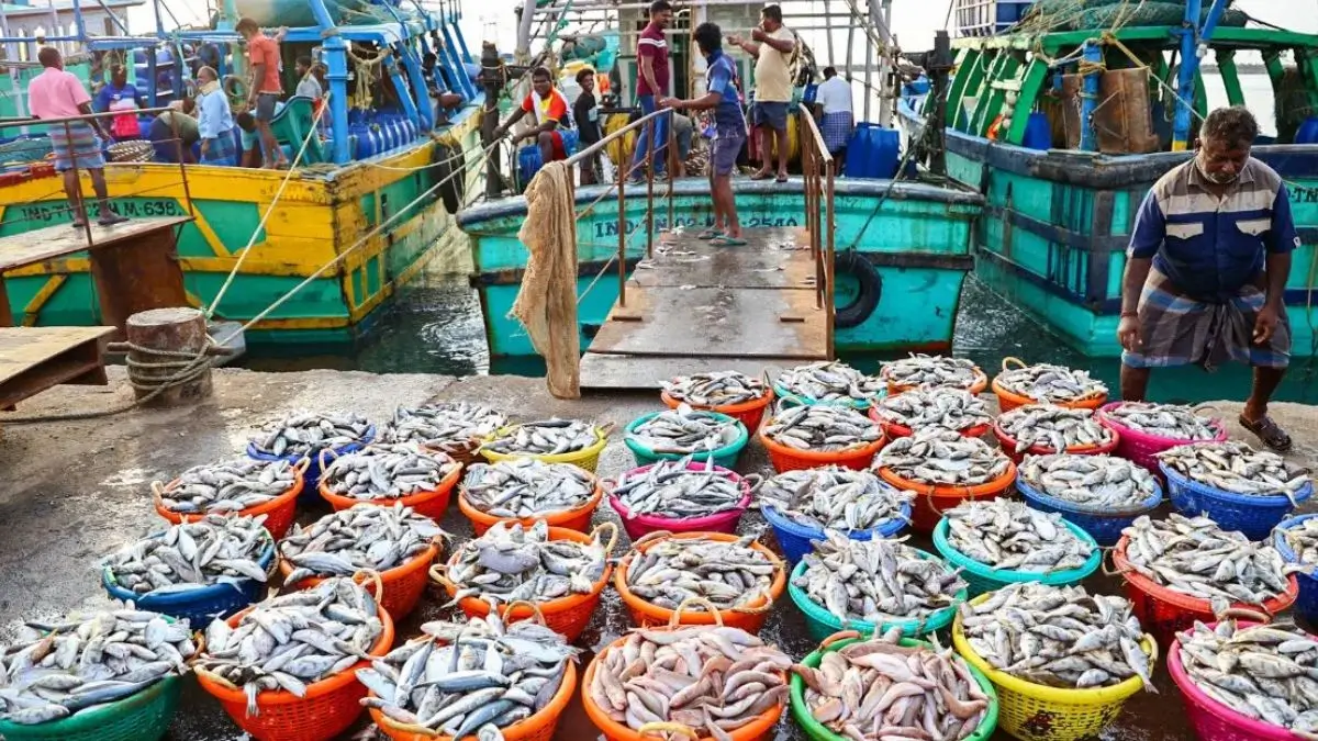 India’s Seafood Exports Hit Record ₹73,890 Crore in FY 2025–26