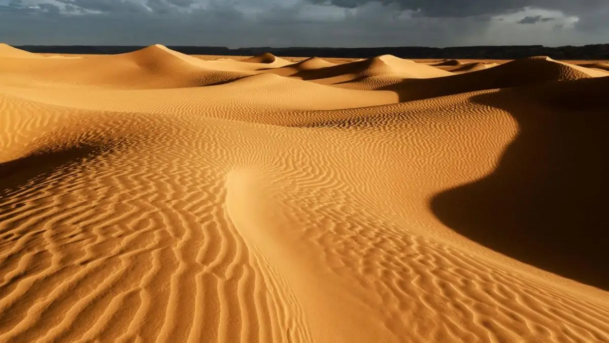 Top 10 Deserts That Span Across Multiple Countries - Explained