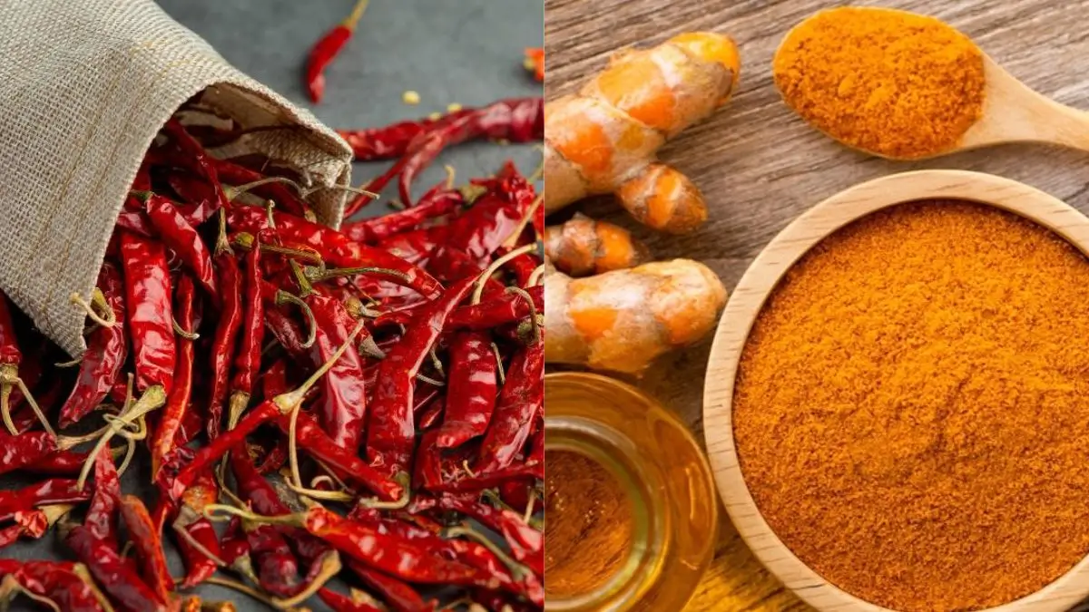 Which State is the Land of Golden Spice of India?