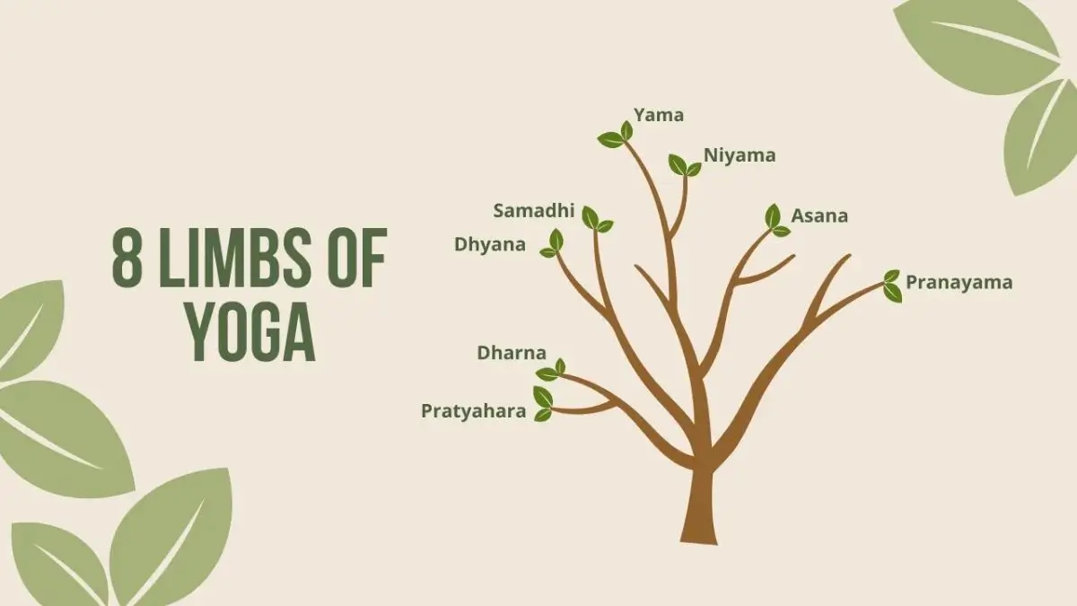 Yoga Day 2026: What Are the Eight Limbs of Yoga?
