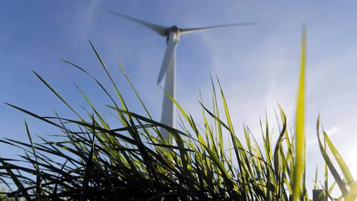 India's Green Economy Is Growing Faster Than Asia