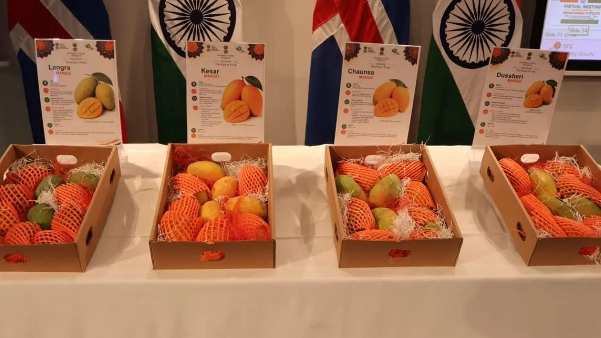 India Showcases Premium Mangoes in Iceland Through First-Ever Promotion Events to Boost Exports