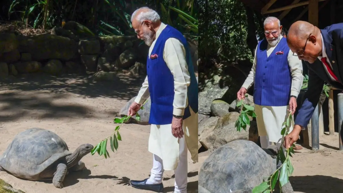 PM Narendra Modi Meets Jonathan, the World's Oldest Living Land Animal, During Seychelles Visit