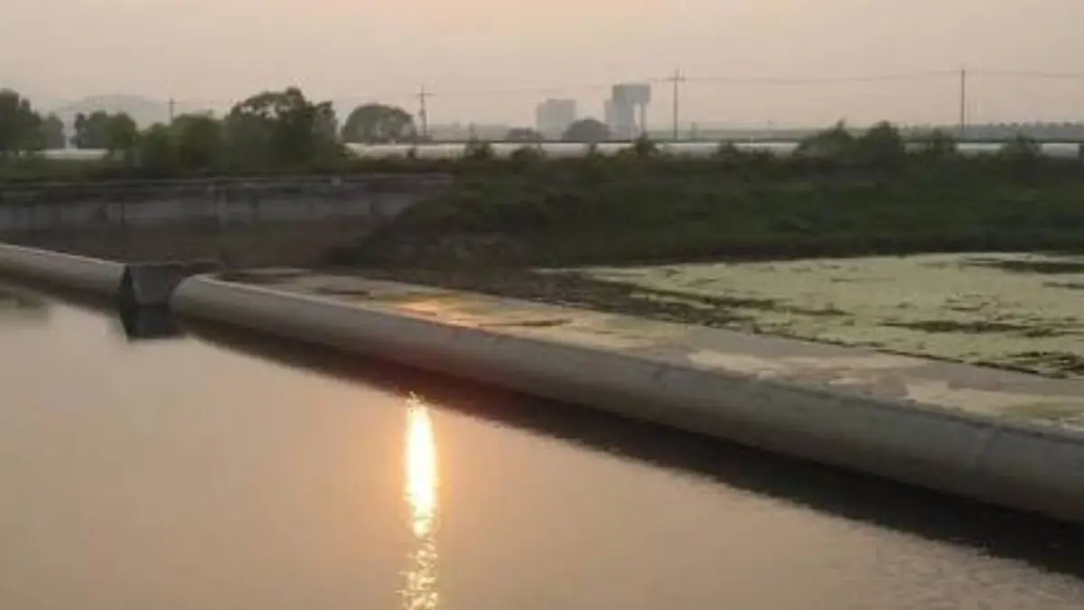 Gujarat Builds First Air-Filled Rubber Dams Using South Korean Technology: Everything You Need to Know