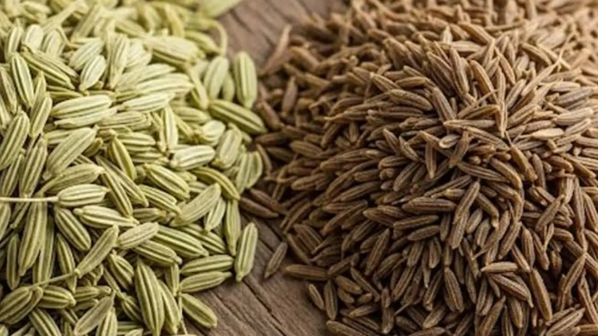 Gujarat's Unjha Cumin and Fennel Receive GI Tag