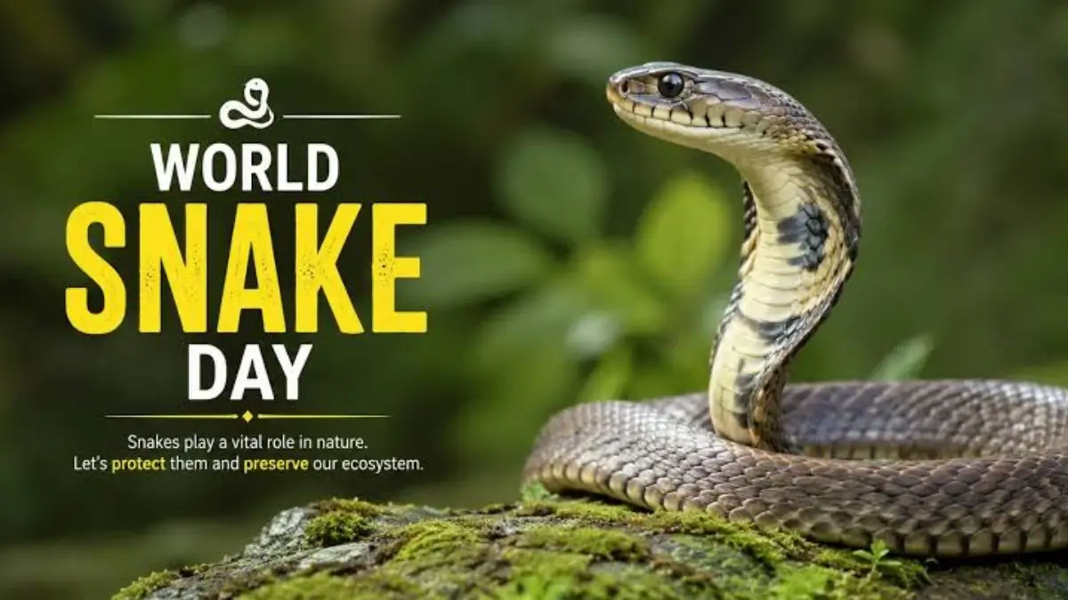 World Snake Day 2026: Date, History, Significance, Theme and Fascinating Facts