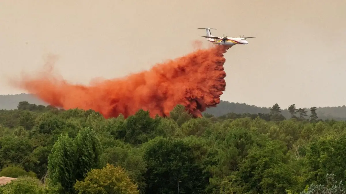 Spain Declares National Emergency as Wildfires Sweep Europe