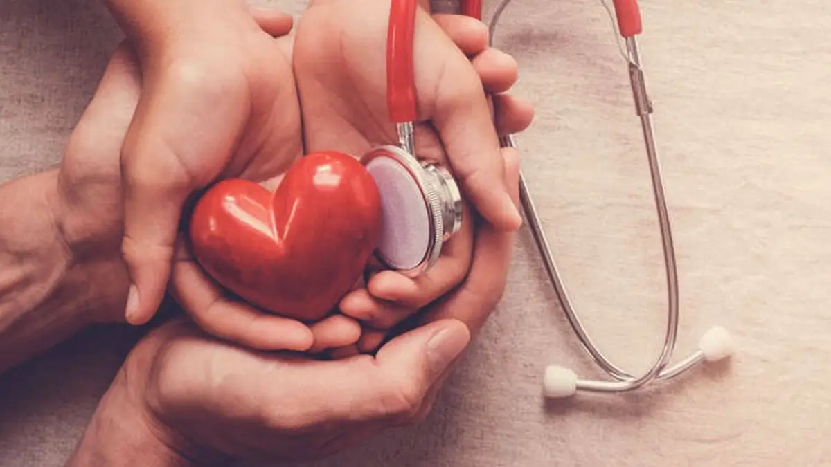 Tamil Nadu Leads in Deceased Organ Donation, Ranks Second in Transplants