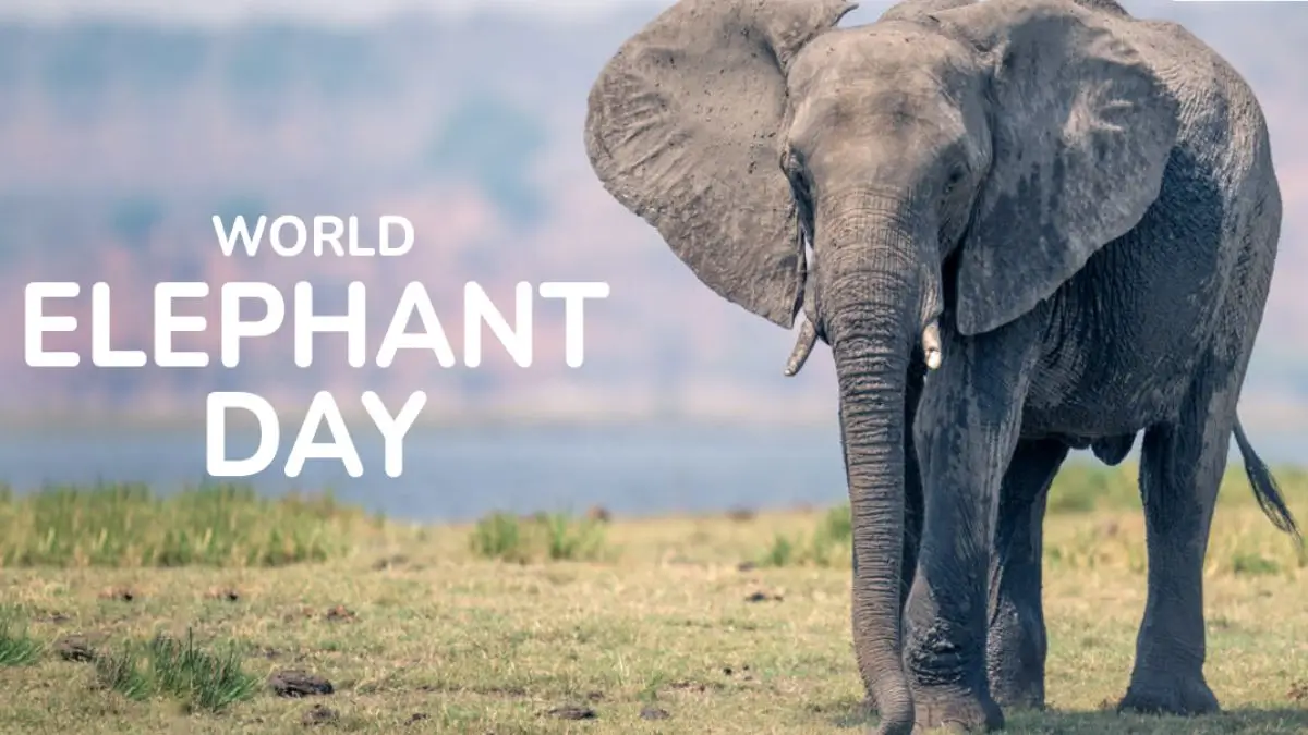 World Elephant Day 2026: Theme